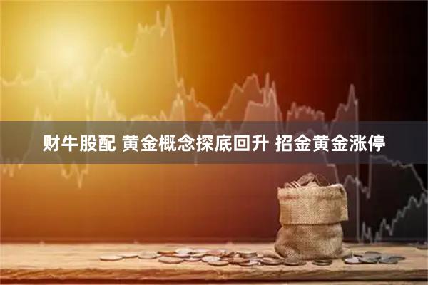 财牛股配 黄金概念探底回升 招金黄金涨停