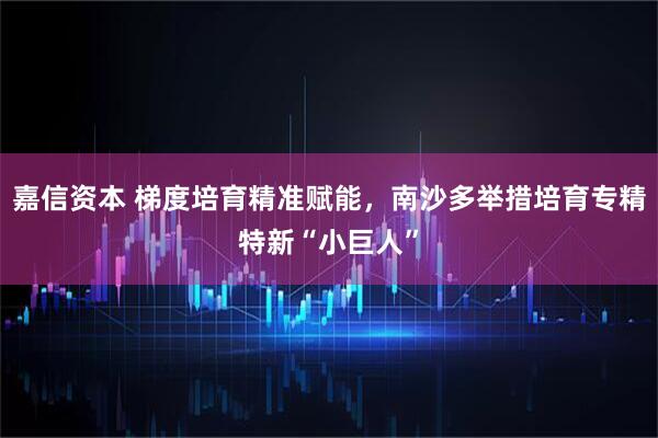 嘉信资本 梯度培育精准赋能，南沙多举措培育专精特新“小巨人”