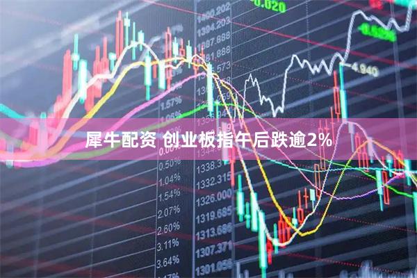 犀牛配资 创业板指午后跌逾2%
