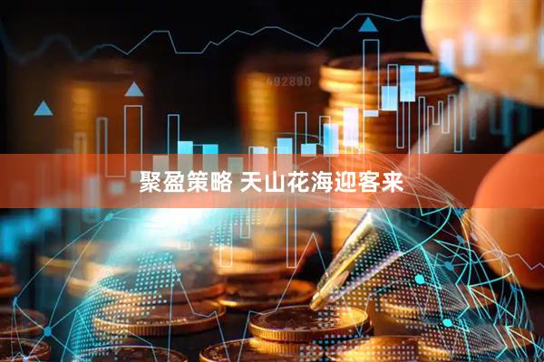聚盈策略 天山花海迎客来