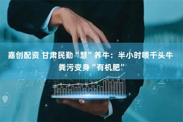 嘉创配资 甘肃民勤“慧”养牛：半小时喂千头牛 粪污变身“有机肥”
