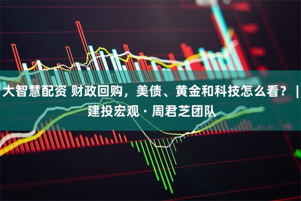 大智慧配资 财政回购,美债、黄金和科技怎么看? | 建投宏观 · 周君芝团队